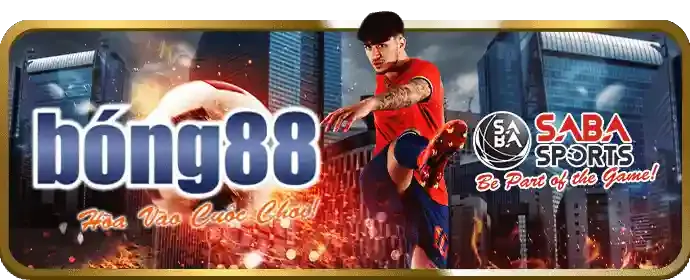 Quản lý tài khoản và giao dịch dễ dàng